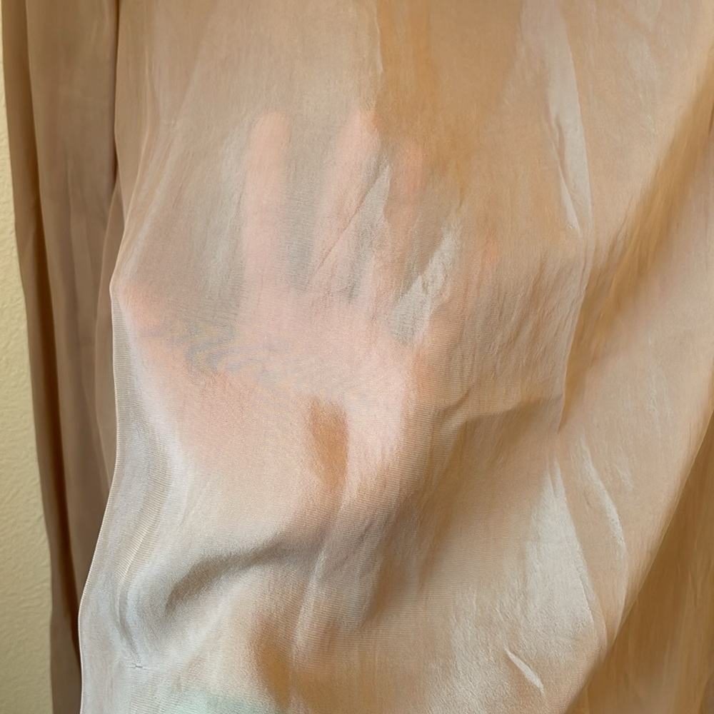 Sheer Top - Picture 3 of 5